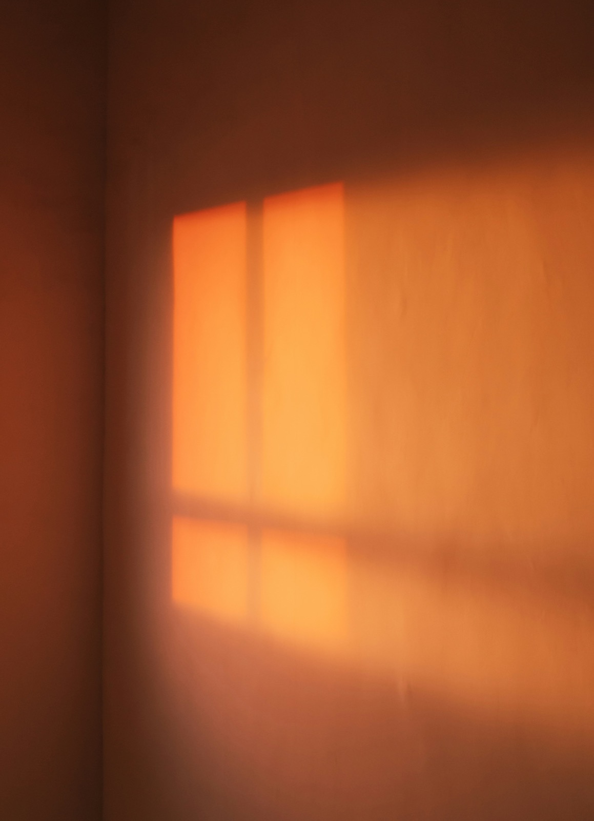 late afternoon light across a plain wall